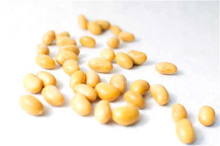 Soybean Food photo