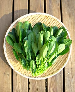 Spinach Vegetable Food photo