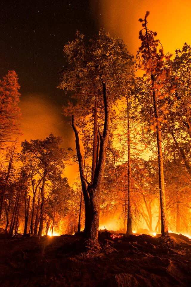 Silhouettes firefighters smoke