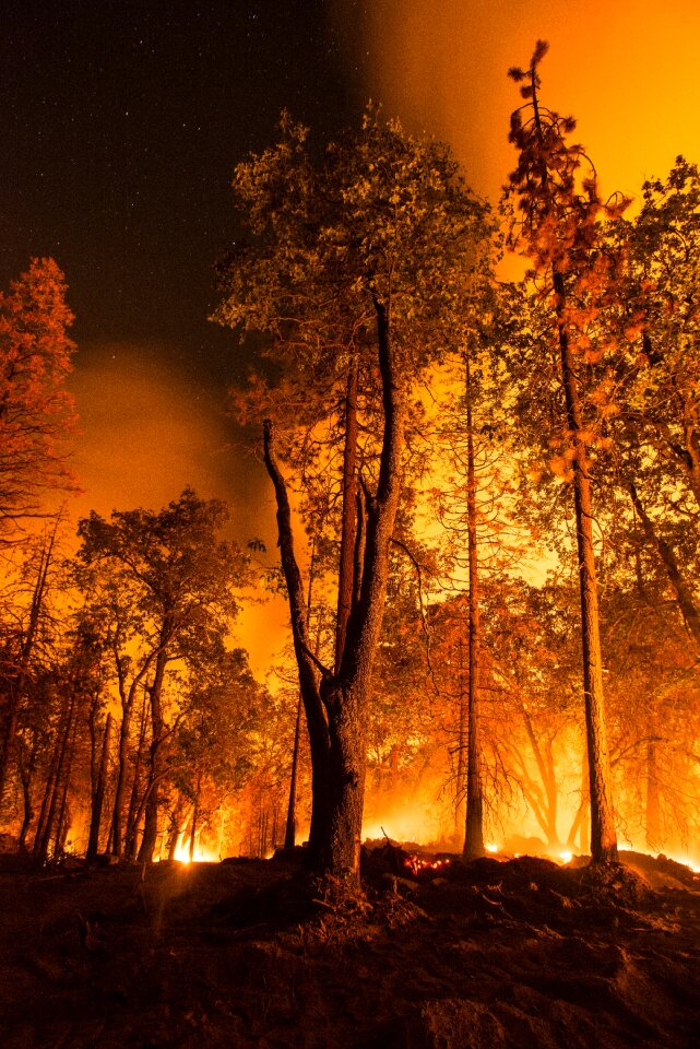 Silhouettes firefighters smoke photo