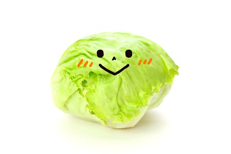 Lettuce Vegetable Face photo