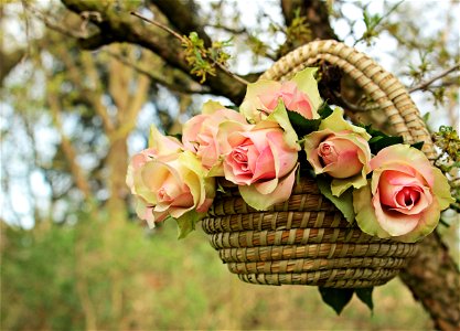 Rose Flower Basket