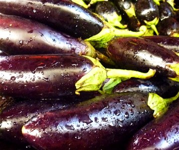Eggplant Vegetable Food
