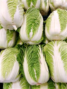 Napa Cabbage Vegetable photo