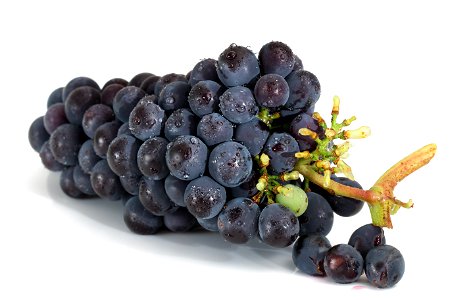 Grape Fruits Food photo