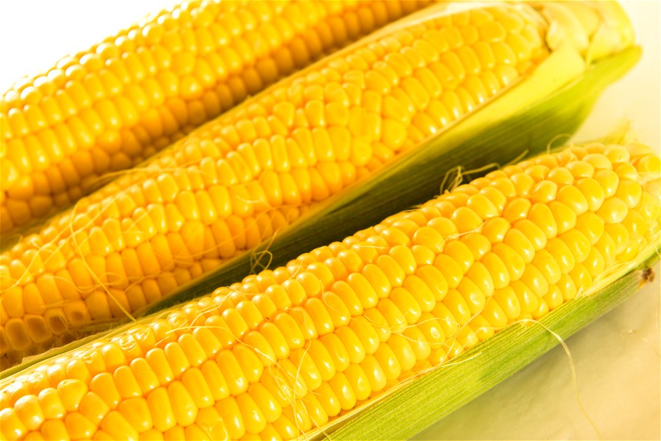 Corn Vegetable Food