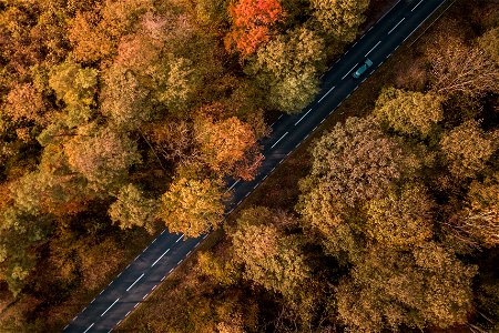 Forest Road