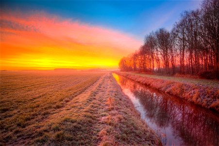 Morning Field