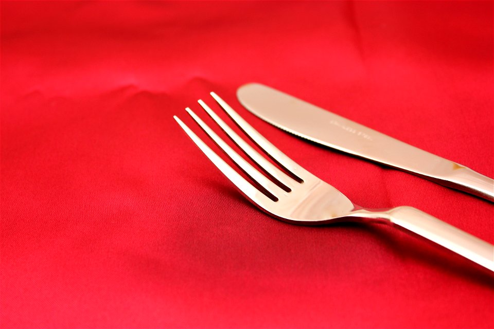 Fork Table Knife photo