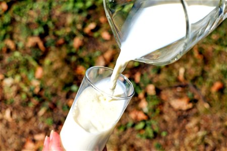 Milk Pour Drink photo