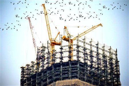 Construction Building Tower Crane photo