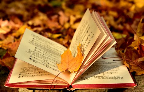 Book Fallen Leaves photo