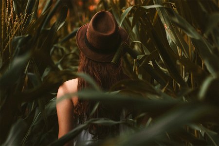 Woman Corn Field photo