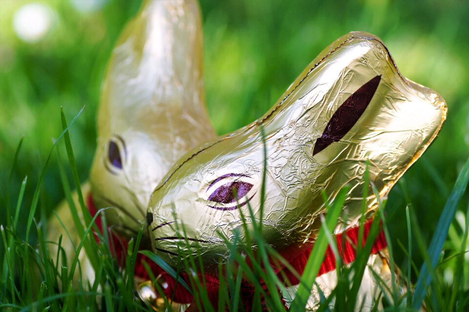 The tradition of golden hare