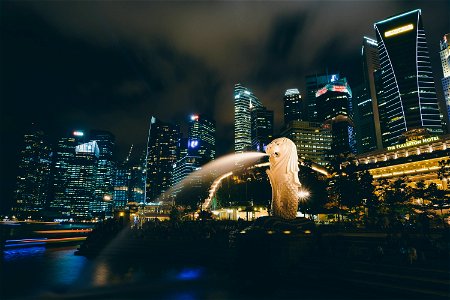 Merlion Singapore Cityscape Night