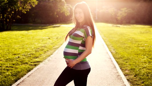 Pregnancy Gravidity photo
