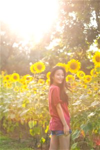Woman Girl Summer Sunflower photo