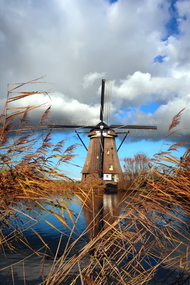 Holland wind mill wicks