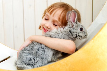 Child Girl Rabbit photo