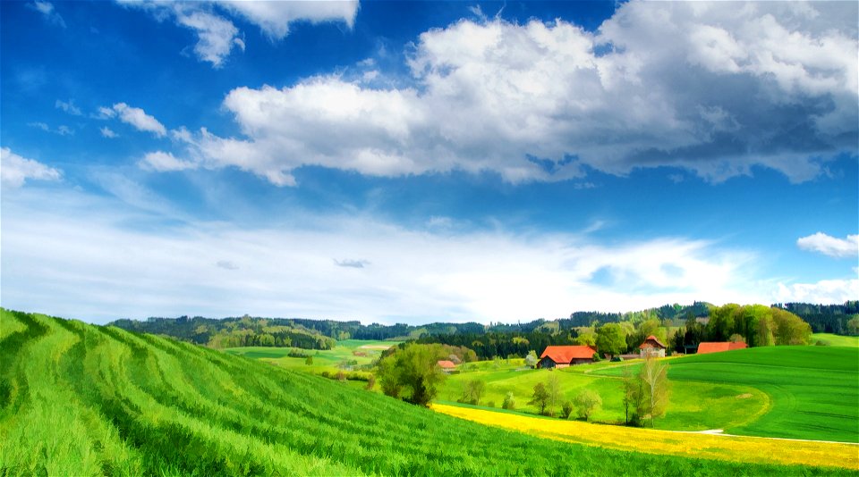 Countryside Grassland Switzerland photo