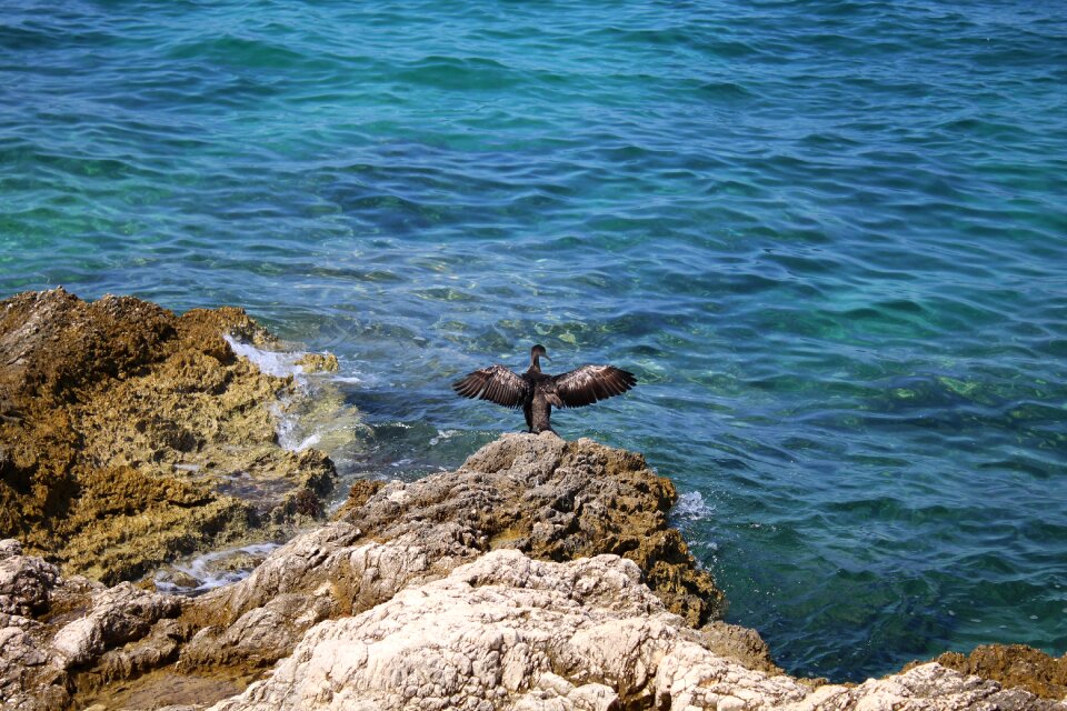 Summer water coast