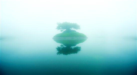 Island Fog Lake photo