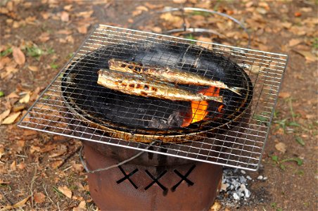 Salt Grilled Pacific Saury