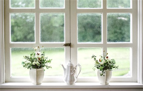Window House Plant Teapot