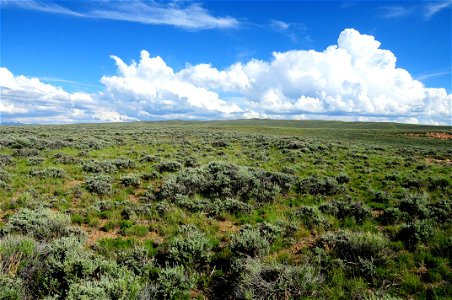 Steppe Arapaho National Wildlife Refuge photo