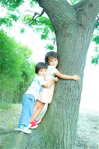 Children Sister Brother Tree photo