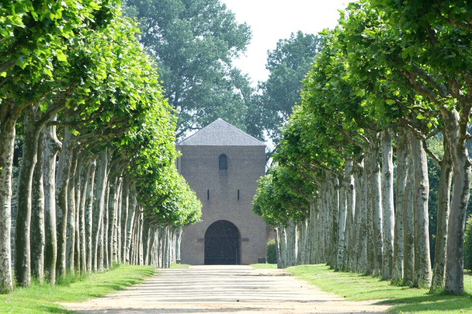 Avenue away tree lined avenue