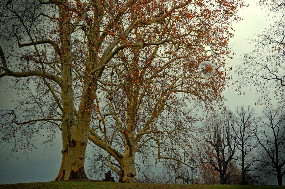 Autumn winter darkness