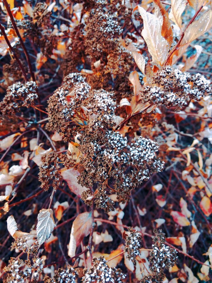 Leann freezing morning