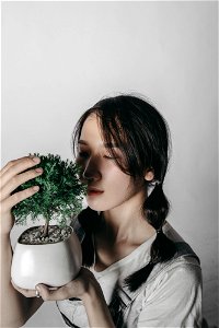 Woman Girl Bonsai photo