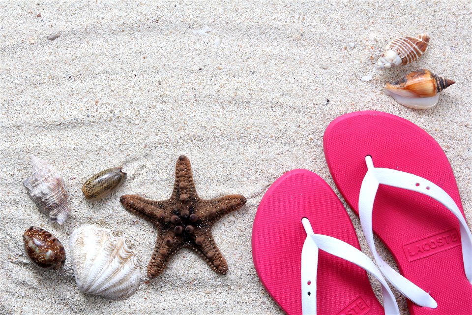 Beach Sandals Shell photo