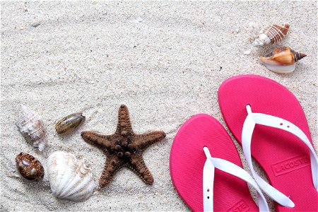 Beach Sandals Shell photo