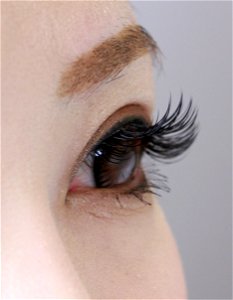 Eyelash Extensions photo