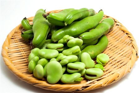 Broad Bean Vegetable photo