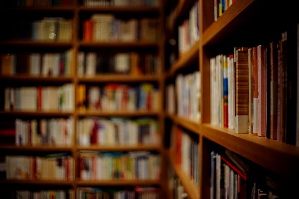 Book Store Bookshelf photo