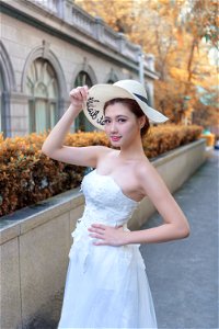 Bride Wedding Dress photo