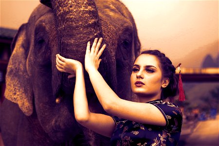 Woman Elephant photo