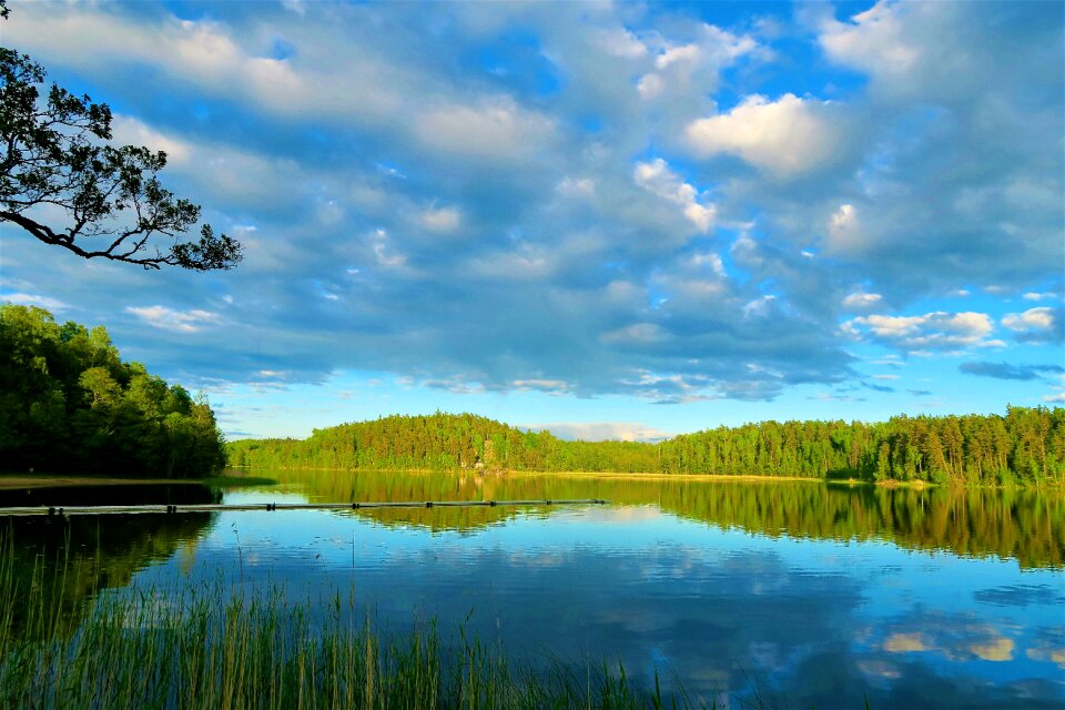 Nature reflection forest photo