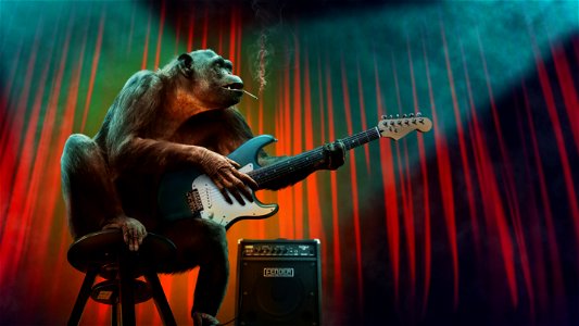 Chimpanzee Electric Guitar Music photo
