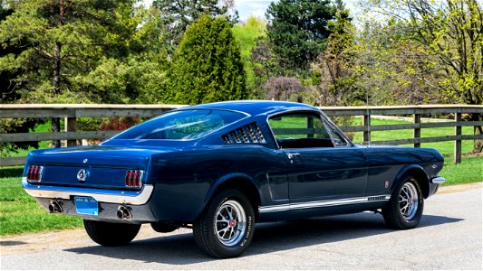 Mustang Gt Fastback photo