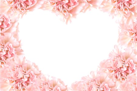Carnation Heart Frame photo
