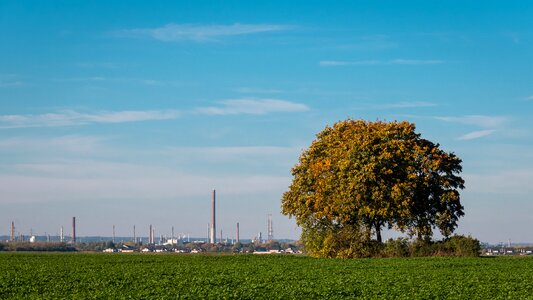 Contrast rural field