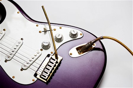 Electric Guitar Musical Instrument photo