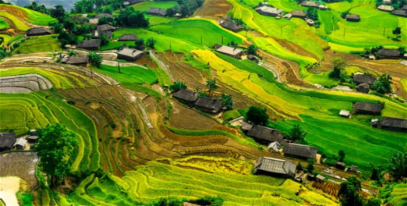 Terraced Rice Fields Countryside photo