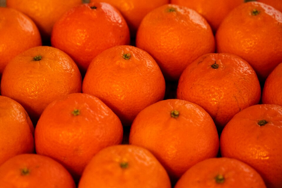 Orange vitamins nutrition