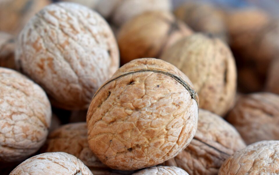 Tasty nutrition food